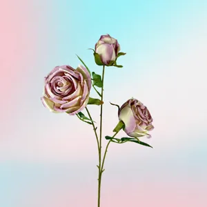Austin silk roses branch with three heads in purple pink and cream white, 65cm height