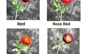 Detail view of multi-color artificial ranunculus flowers in red, rose, and purple