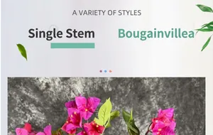 Close-up detail of realistic magenta bougainvillea petals and vibrant green leaves