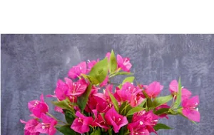 Detailed close-up of realistic pink artificial bougainvillea branch with green leaves