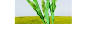 Macro detail showing realistic green leaves with lifelike vein textures of PU tulips