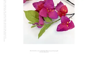 Close-up of artificial purple bougainvillea flowers with green silk leaves on white background