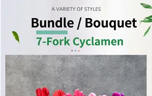 Detailed view of 7-fork artificial Cyclamen bunch with realistic silk petals and green leaves