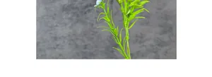 Detailed view of artificial green plants with small light blue flowers for home decor