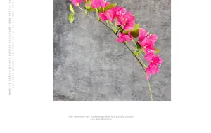 Detailed view of artificial magenta bougainvillea with green leaves and brown stems