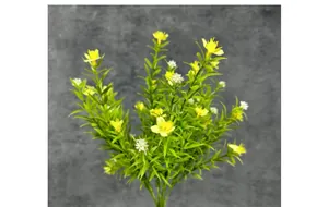 Close-up of vibrant yellow artificial baby's breath flowers with green water grass leaves