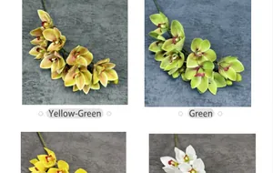 Makroaufnahme von vier realistischen 3D-Cymbidium-Orchideen in verschiedenen Farben