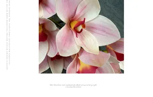 Makroaufnahme von 3D-gedruckten Cymbidium-Orchideenblättern mit realistischer Textur