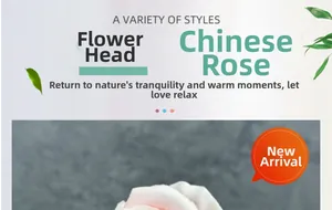 Detailed macro view of white and pink gradient Zhonghua rose flower head for decoration
