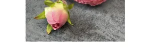 Macrodetail van kunstmatige roze-groene rozenknoppen met realistische stoffen textuur