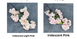Close-up of pink cherry blossoms showing dense petals in light and vibrant pink tones