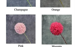 Détails de têtes d'allium artificielles en champagne, orange, rose et rouge rose