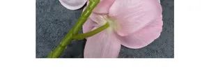 Detailansicht der rosa Orchideenblüten mit Stoffstruktur und grünem Zweig für Deko