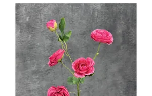 Detail van een rozensteel met meerdere koppen, dieproze bloemen en groene knoppen