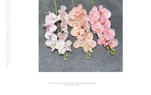 Detailansicht der 3D-Druck-Phalaenopsis-Orchideen in Rosa mit realistischer Textur