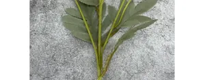 Detailed view of realistic artificial zinnia leaves with natural grey-green texture
