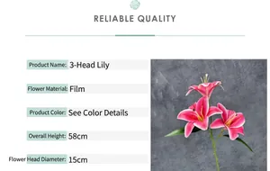 Detail showing 58cm height and 15cm flower head of this pink 3-head 3D film lily