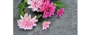 Detailed close-up of realistic light pink and magenta dahlia silk flower petals