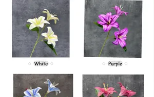 Detailed view of 3D lifelike lily flowers in white and purple with realistic petals