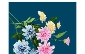 Detailed view of silk dahlia artificial flowers in blue, pink, and yellow hues