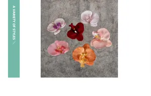 Detalle de seis cabezas de orquídeas Phalaenopsis artificiales de colores para manualidades