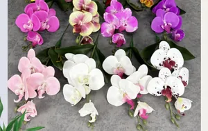 Detailopname van kunstmatige Phalaenopsis orchideeën in diverse kleuren voor decoratie