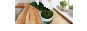 Detail van witte Phalaenopsis orchidee in keramische pot met landschapsschildering