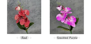 Detail view of red and purple faux moth orchids with realistic petals and green buds