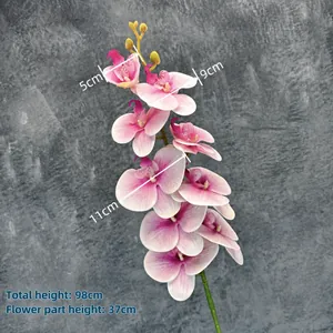 Lifelike 3D printed pink Phalaenopsis orchid with 9 heads and detailed size dimensions
