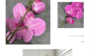 Macro detail of artificial pink Phalaenopsis orchid with realistic texture and green buds