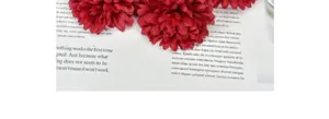 Close-up of vibrant red artificial pompon chrysanthemum flower with silk petal texture