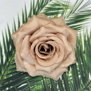 Draufsicht auf champagnerrosa Seidenrosenkopf mit Schichtblütenblättern und grünen Blättern
