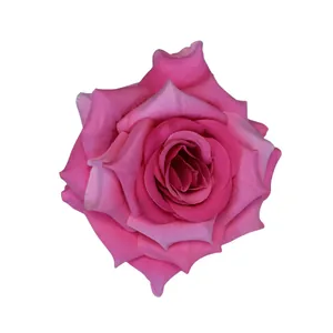 Künstlicher Rosenkopf in Rosa mit Farbverlauf für Hochzeit und DIY Dekorationen