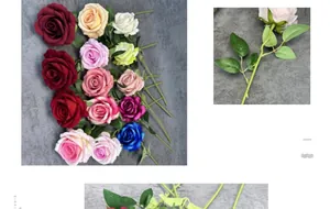 Close-up showing velvet rose petals and green leaves with detailed jagged edges
