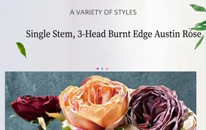 Detail of burnt edge Austin rose petals with realistic vintage texture for decor