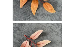 Gros plan détaillé de feuilles de saule oranges d'automne avec texture et tiges réalistes