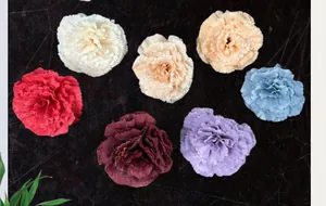 Vue de dessus de sept têtes d'œillets en soie de 8 cm pour l'artisanat et la déco