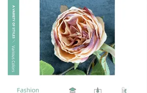 Macro shot of 3-head Austin rose with realistic multi-layer petals and vivid textures