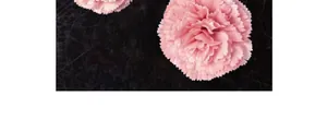 Gros plan d'œillets artificiels roses avec pétales superposés sur fond texturé sombre