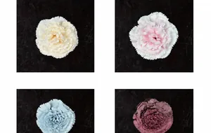 Dettaglio di teste di garofano artificiali da 8 cm in seta nei colori champagne e rosa