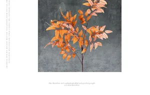Vue détaillée de feuilles de saule artificielles avec dégradé orange pour décor de maison