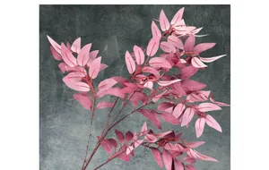 Détail macro de feuilles de saule artificielles avec texture en rose et bordeaux