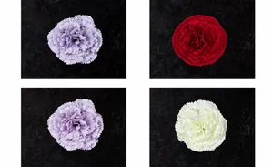 Dettaglio di teste di garofano artificiali in cappuccino, rosso, viola e bianco per decori