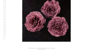 Vue détaillée de trois œillets artificiels rose poudré sur un fond noir texturé