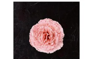 Gros plan d'une tête d'oeillet artificielle rose avec pétales en tissu dentelés