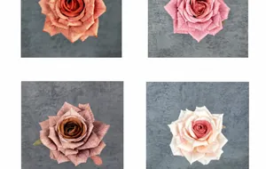 Detailed view of silk rose flower heads in orange, rose pink, and autumn brown hues