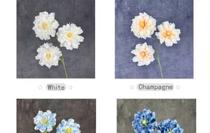 Primer plano detallado de peonías artificiales blancas y champán con tres cabezas