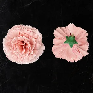 Testa di garofano in seta rosa chiaro 8cm per decorazioni nuziali e fai da te