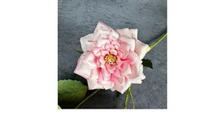 Detailed view of pink silk queen rose with multi-layered petals and green leaves
