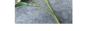 Detail shot of artificial orchid stem showing realistic green texture and silk petals